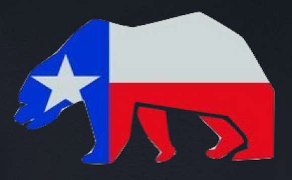 Texas Bear - Removable Patch