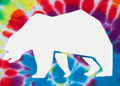 Bear on Tie Dye - Removable Patch
